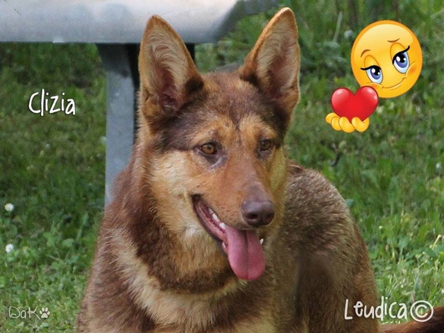 Cara Clizia ha trovato casa