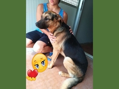 Cody ha trovato casa!