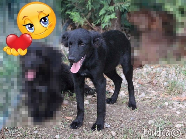Corallo ha trovato casa!
