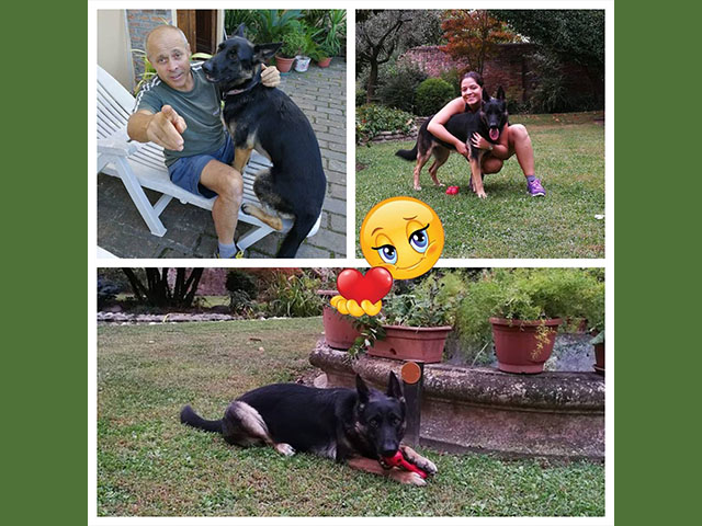 Estella ha trovata casa