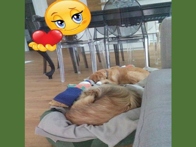 Giuditta e Moriz a casa