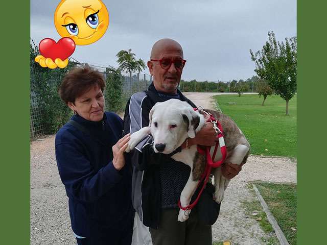 Helky con la sua nuova famiglia