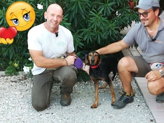 Buona vita, Kojack