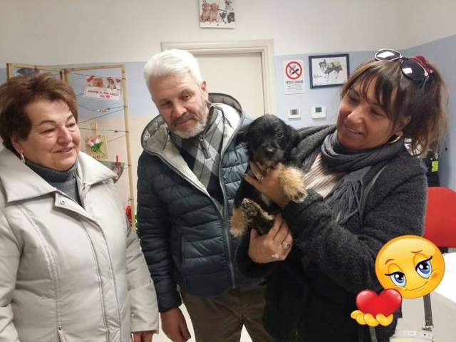 Auguri, Lindo!