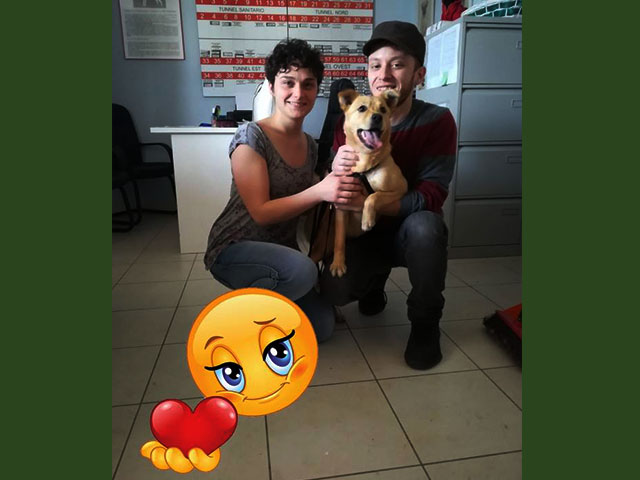 Lola ha trovato casa