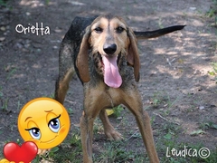 Buona vita, Orietta