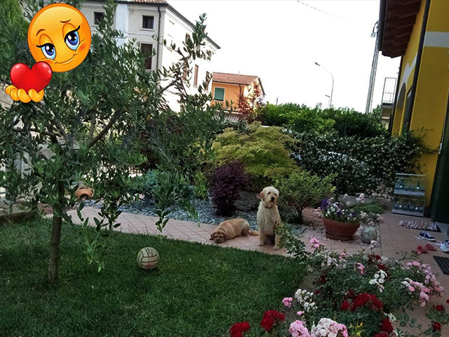 Pakita a casa