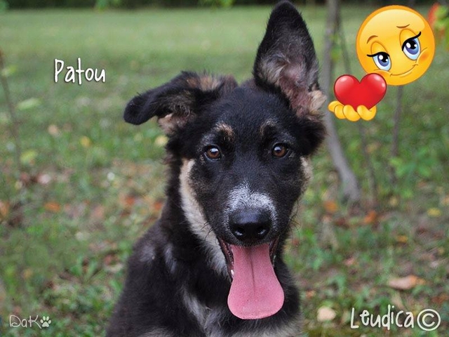 Patou, buona vita!