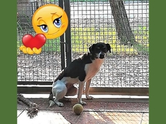 Patwin, buona vita!