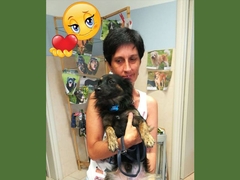 Poker ha trovato casa