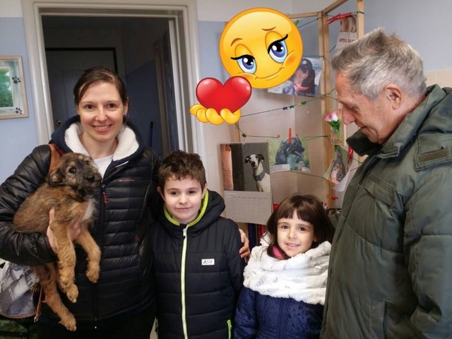 Quick con la sua nuova famiglia