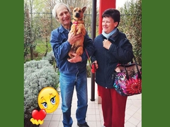 Teki ha trovato casa!