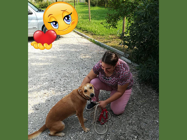 Tessa ha trovata casa