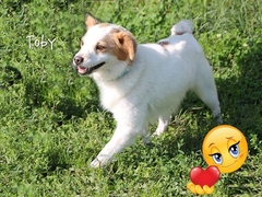 Caro Toby, buona vita!