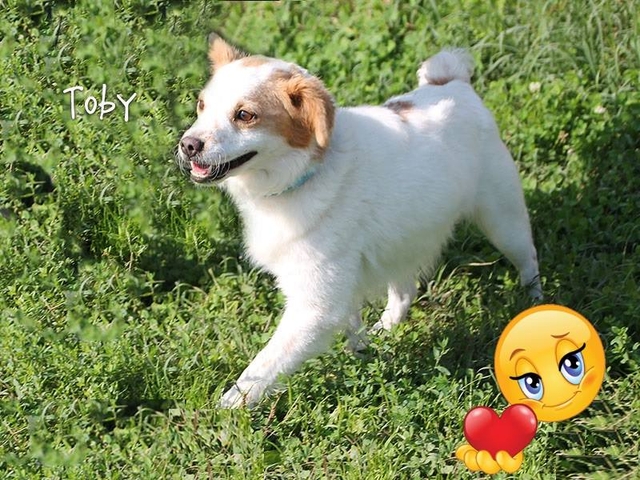 Caro Toby, buona vita!