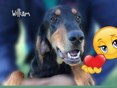 William ha trovato casa!