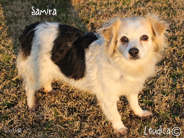 Samira ha trovato casa!
