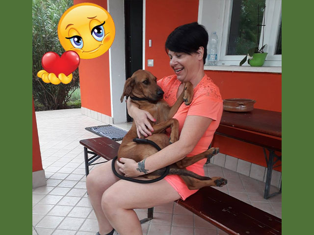 Zeph ha trovato casa!
